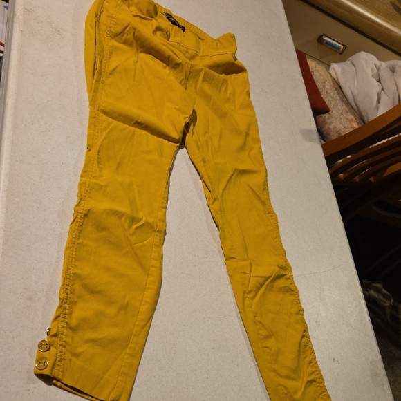 New York & Company Mustard Pants - Picture 1 of 8